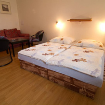 Pension A5A, Карловы Вары — фото 5