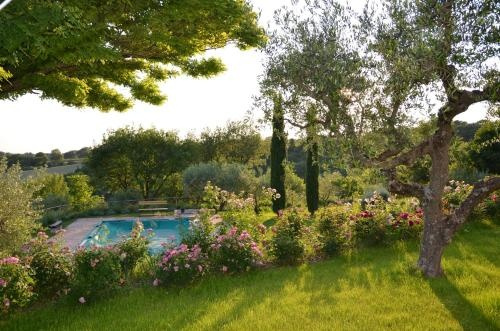 Umbrian Holiday on the enchanting hills of Todi!, 马萨马尔塔纳 — 照片 1