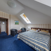 Hotel Krušnohorský Dvůr, 杜比 — 照片 4