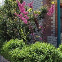 Usad'ba Pushkinyih Guest House, 晓尔基诺 — 照片 5