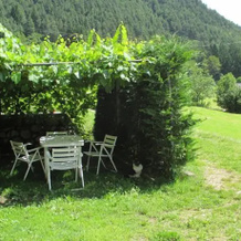 Bed and Breakfast Casa Fipinger, 潘基亚 — 照片 4