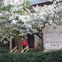 Bonney's Inn, Deloraine — photo 4