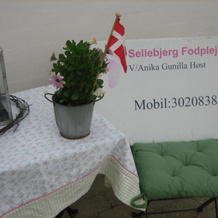 Sellebjerg Apartment, Биндслев — фото 2