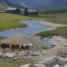 Alpenresidenz-Sonnwend, 齐勒河谷采尔 — 照片 4