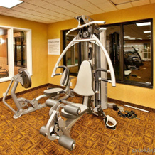 Holiday Inn Express Hotel & Suites Crawfordsville By Ihg, Крофордсвилл — фото 3