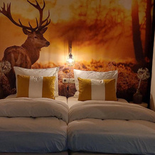 Bed en Breakfast Het Oelenest, 安洛 — 照片 2