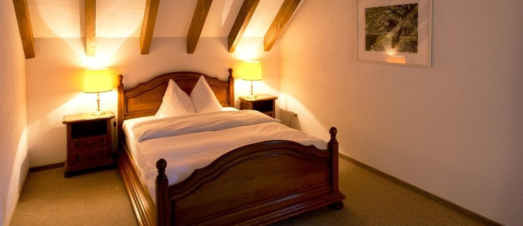 ROMANTIK HOTEL Landgasthof zu den Drei Sternen, 默里肯-维尔德格 — 照片 1