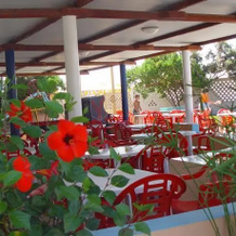 Villaggio Camping Sambalon, 赞布罗内 — 照片 4