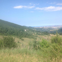 Dal Biondo, Пальмоли — фото 5