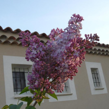 Les Lilas Des Chênes, Пиолан — фото 4