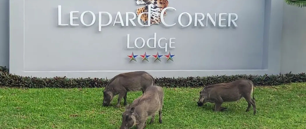 Leopard Corner Lodge, 圣卢西亚 — 照片 1