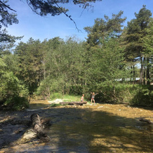 Le Bois Faé, La Bastide — photo 2