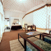 White Rann - The Tent City, Дхолавира — фото 5