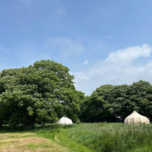 Beautiful Bell Tent Stay, Cowbridge — photo 5