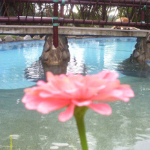 Stoney Creek Resort - Hostel, Castaway — photo 5