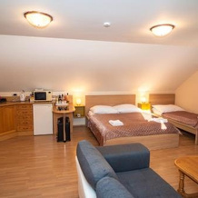 Apartmán a ubytování U Machů, 米库洛夫 — 照片 2