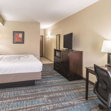 La Quinta Inn & Suites by Wyndham Dallas Grand Prairie South, 大草原城 — 照片 5