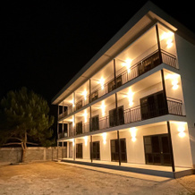 Hotel Abaza, Ldzaa — photo 2
