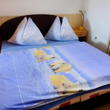 Apartmany Železná Ruda, 热莱兹纳鲁达 — 照片 5