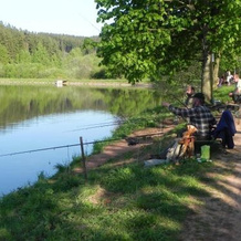 Camp Dolce, Старе-Букы — фото 3