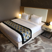 Clarks Inn suites Raipur, 赖布尔 — 照片 2