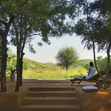 SUJÁN Sher Bagh, 萨瓦伊马多普尔 — 照片 5