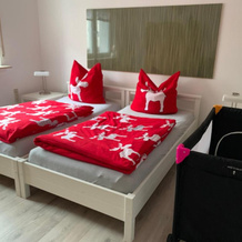Arche Noah Reilingen Near Hockenheim And Walldorf, 赖林根 — 照片 3