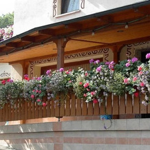 Gasthof Zur Burgruine, 波滕施泰因 — 照片 2