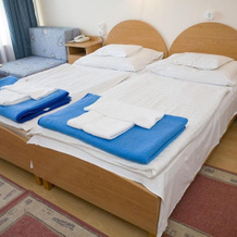 Hotel Harom Hattyu, 巴拉顿城堡 — 照片 4