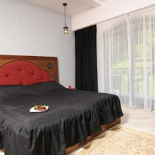 El Quatro - Boutique Hotel, Гура-Гуморулуй — фото 2