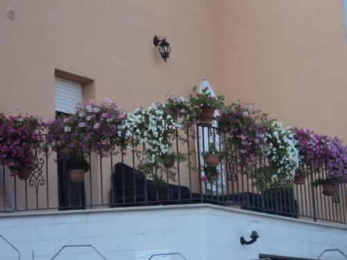 La Casa Dei Fiori, 蒙特奇尔福内 — 照片 1
