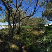 Sandcastles on the Beach Bargara, 巴加拉 — 照片 5