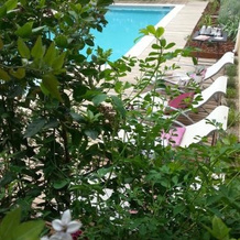 Apartment Uzès Pont du Gard, 阿尔吉列 — 照片 4