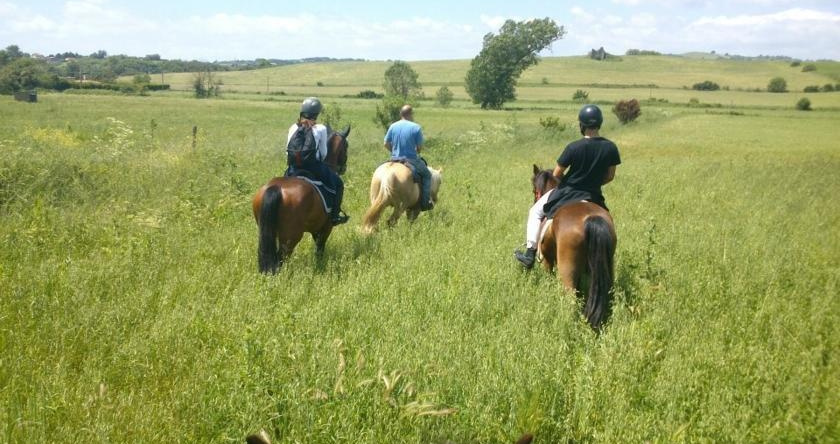 Cavallo DI Fiori - Agriscuderia, Nepi — photo 1