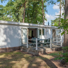 Ground Floor Chalet With Microwave in Natural Surroundings, Mierlo — photo 5