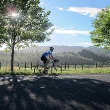 Toms Cottages, Havelock North — photo 4