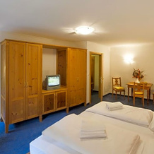 Dolomitenhotel Weisslahnbad, Tires — photo 2