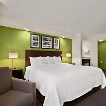 SPOT X Hotel Tampa - Wesley Chapel by The Red Collection, 韦斯利教堂 — 照片 4