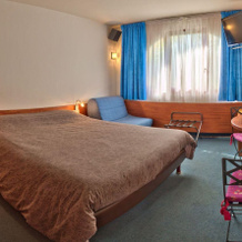 Hotel Dauphin Blanc, Saint-Ismier — photo 4