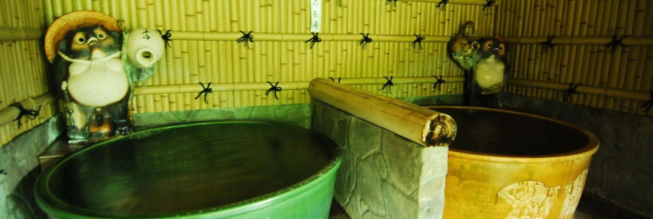 Hotel Kazurabashi, Miyoshi — photo 1