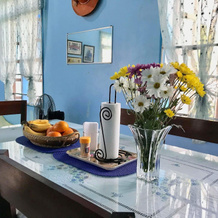 Dew Drop Inn Oceanside B&B, Балер — фото 5