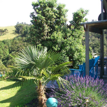 Westwind Homestay B & B, 怀塔卡鲁鲁 — 照片 5