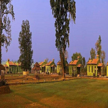 Bastar Jungle Resort, Jagdalpur — photo 5