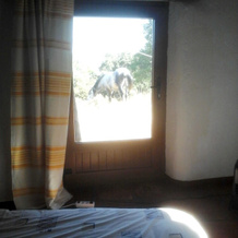 Apartment With one Bedroom in Busquístar, With Wonderful Mountain View, Private Pool and Furnished Garden - Near the Slopes, 布斯基斯特 — 照片 4
