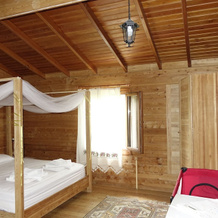 Sakin Vadi Winehouse, Орхание — фото 3