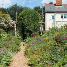 Romney a Cosy Victorian Cottage in a Picturesque Suffolk Village, 卡文迪什 — 照片 3