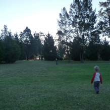 Kangaroo Valley Timber Cabin, 袋鼠谷 — 照片 3