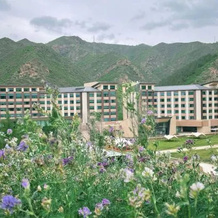 Courtyard By Marriott Chongli, Чжанцзякоу — фото 5