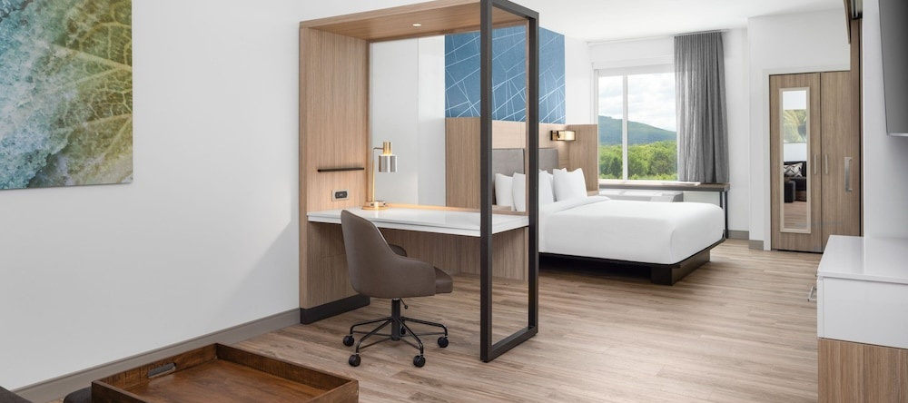 Springhill Suites By Marriott Roanoke North, 罗阿诺克 — 照片 1