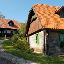 Country House Etno Kuca pod Okicem, 皮拉 — 照片 5